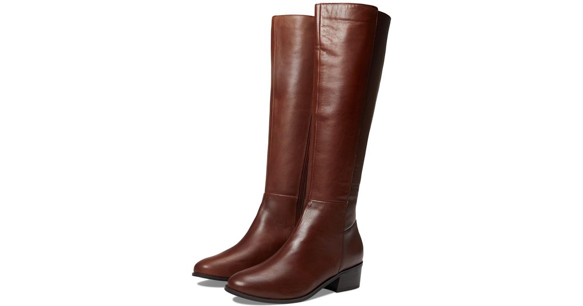 rockport tall boots
