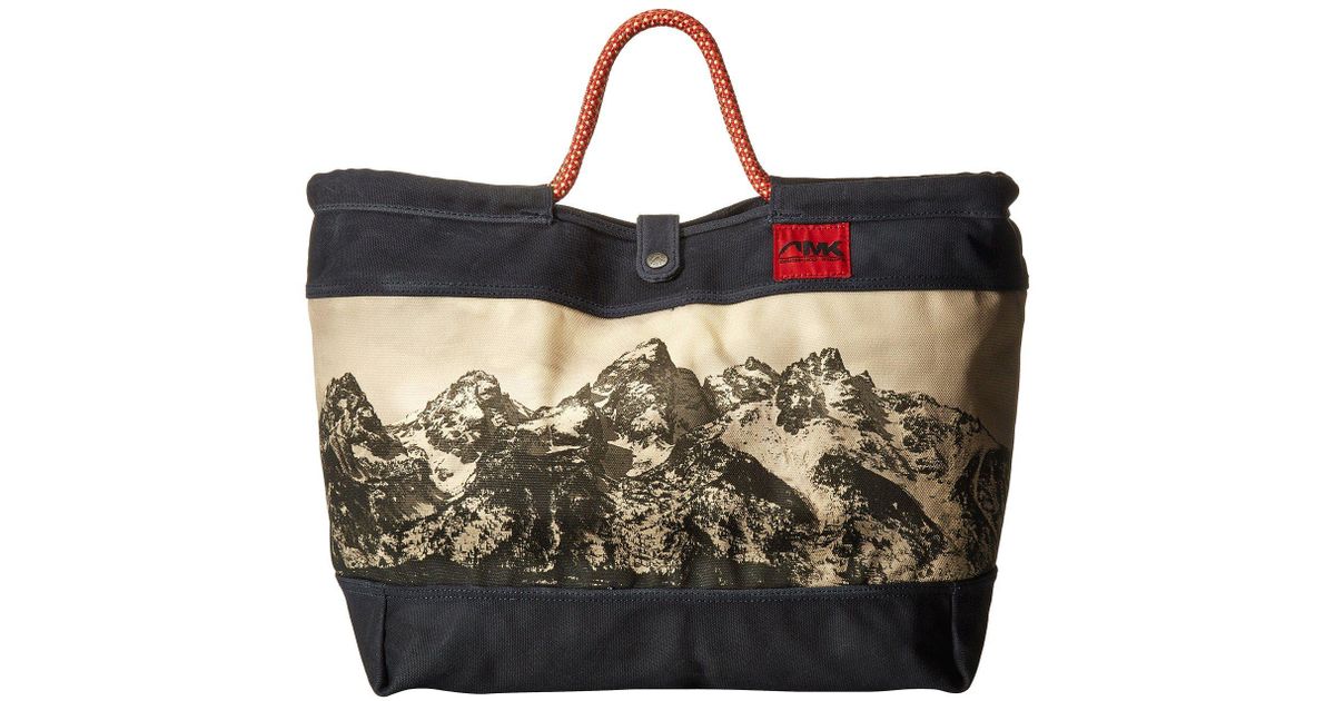 Market Tote (teton Print) Tote Handbags 
