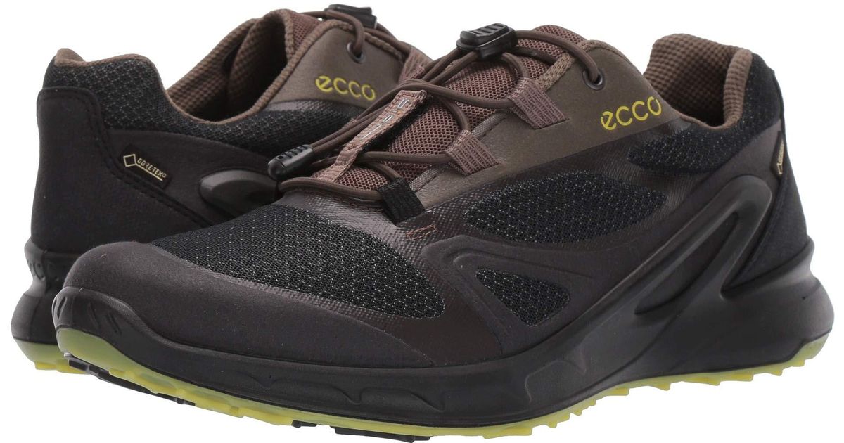 ecco mens biom omniquest gtx