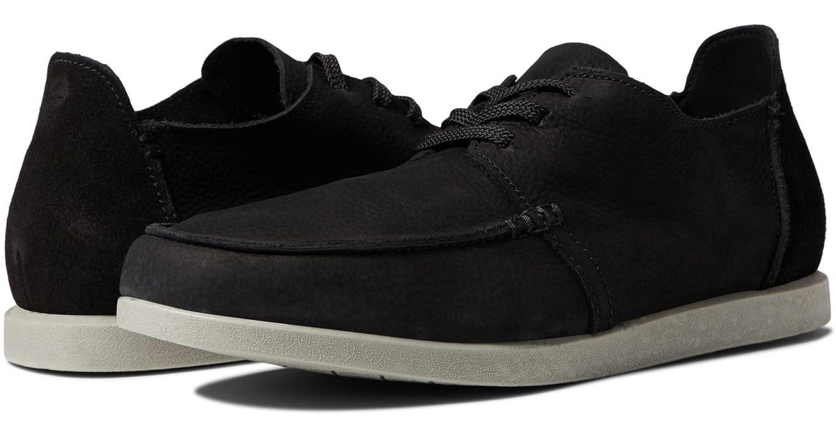 shacrelite low