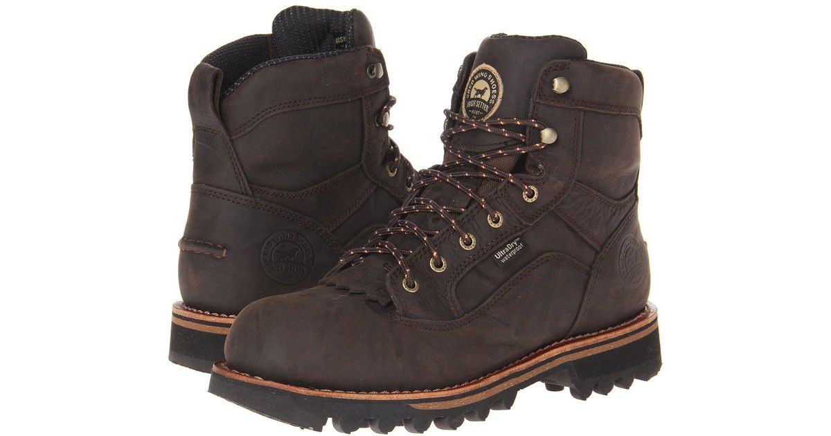 irish setter trailblazer