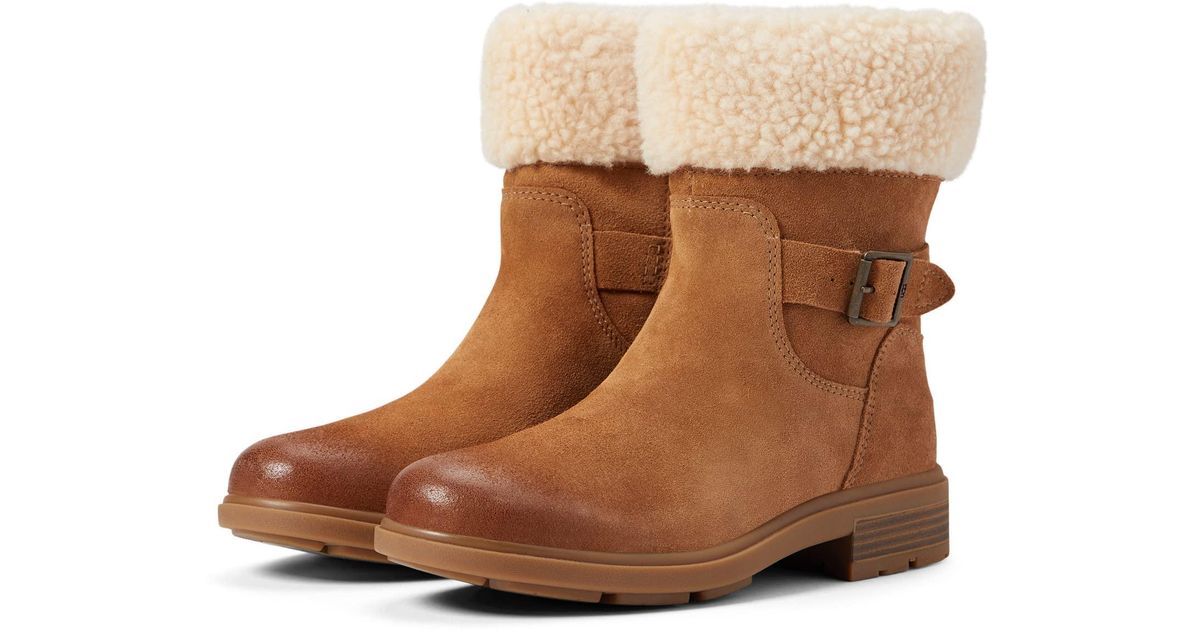 harrison lace uggs