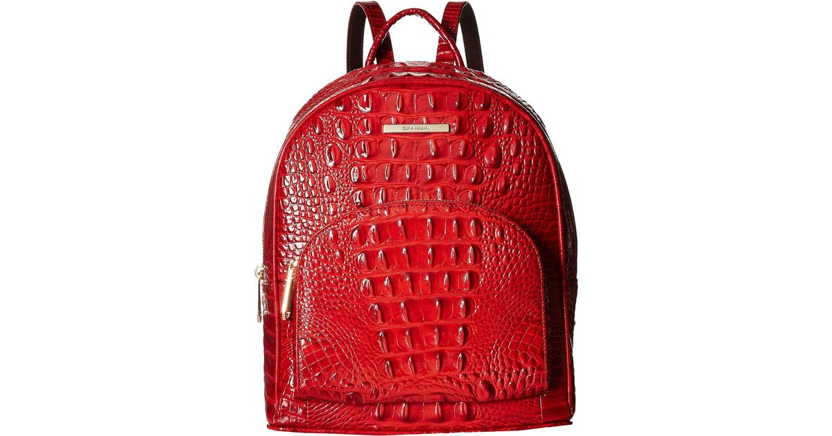 brahmin bookbag