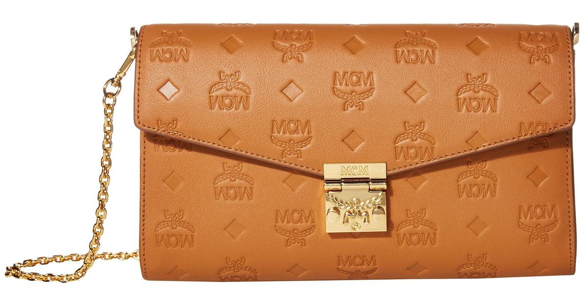 bottega bag with chain