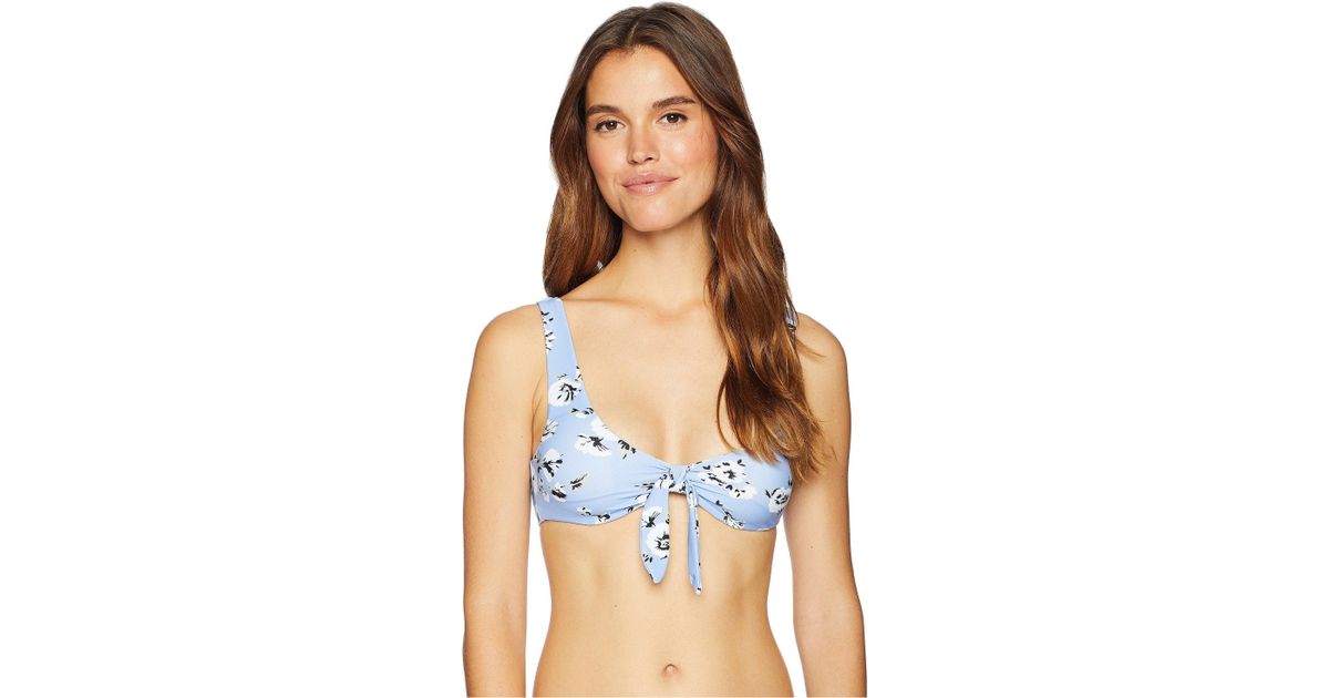 bluenotes swimwear