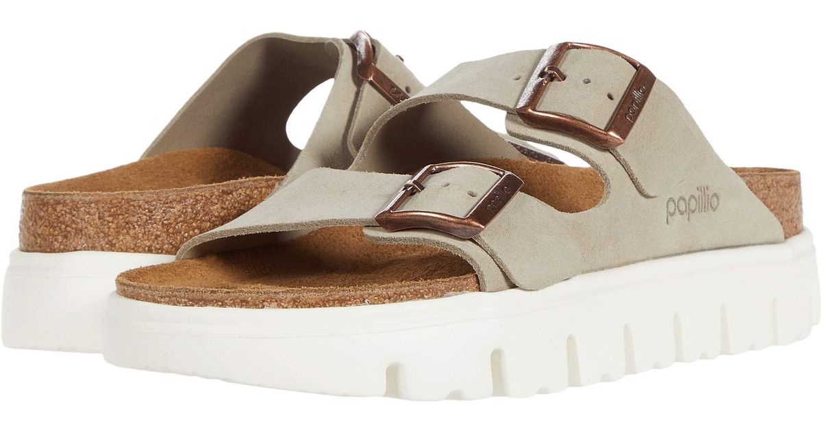 papillio chunky