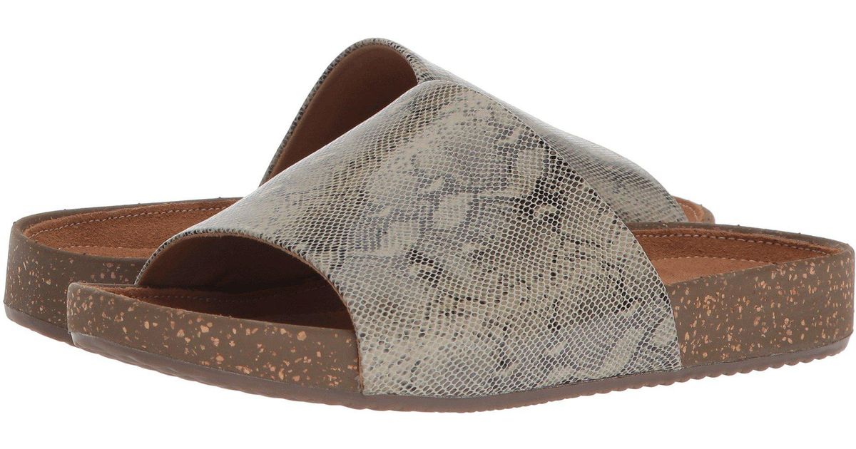 clarks rosilla hollis