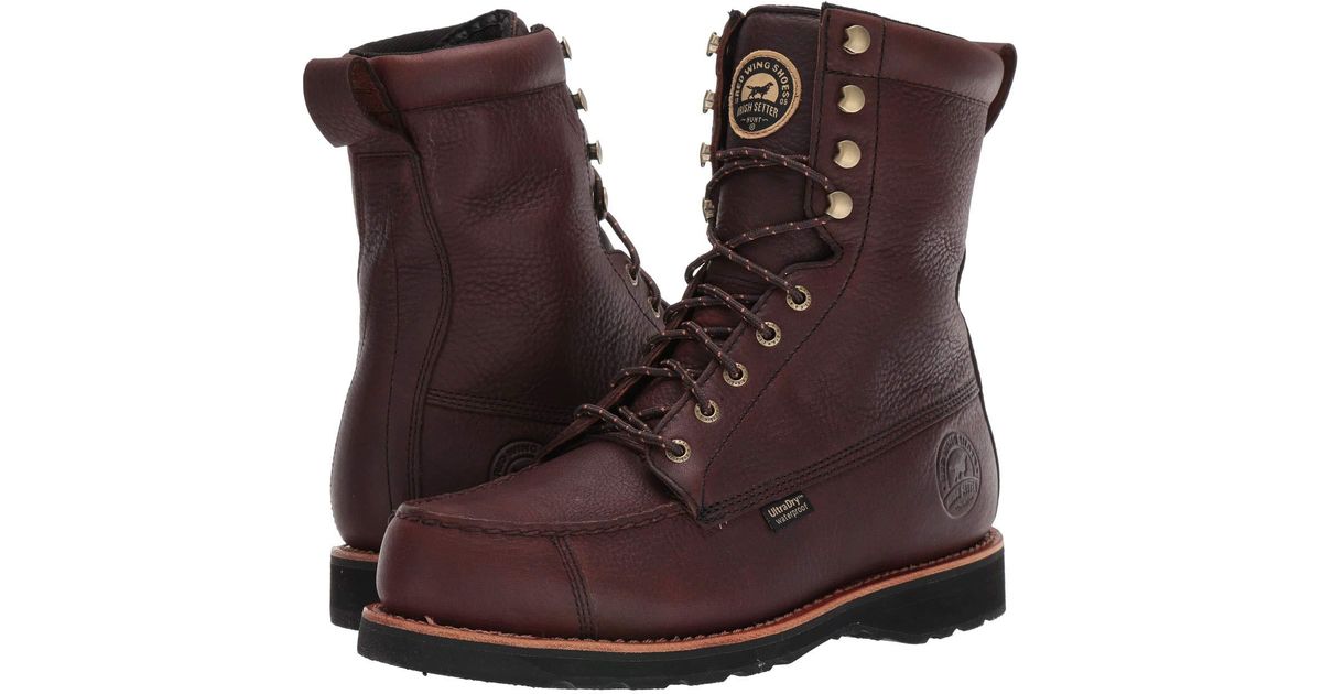 irish setter wingshooter 808