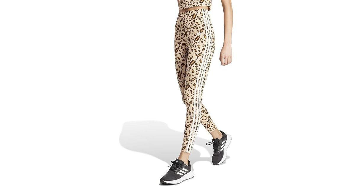Adidas zebra print leggings deals