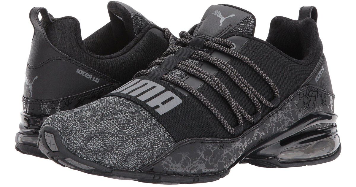 puma cell regulate puma cell regulate