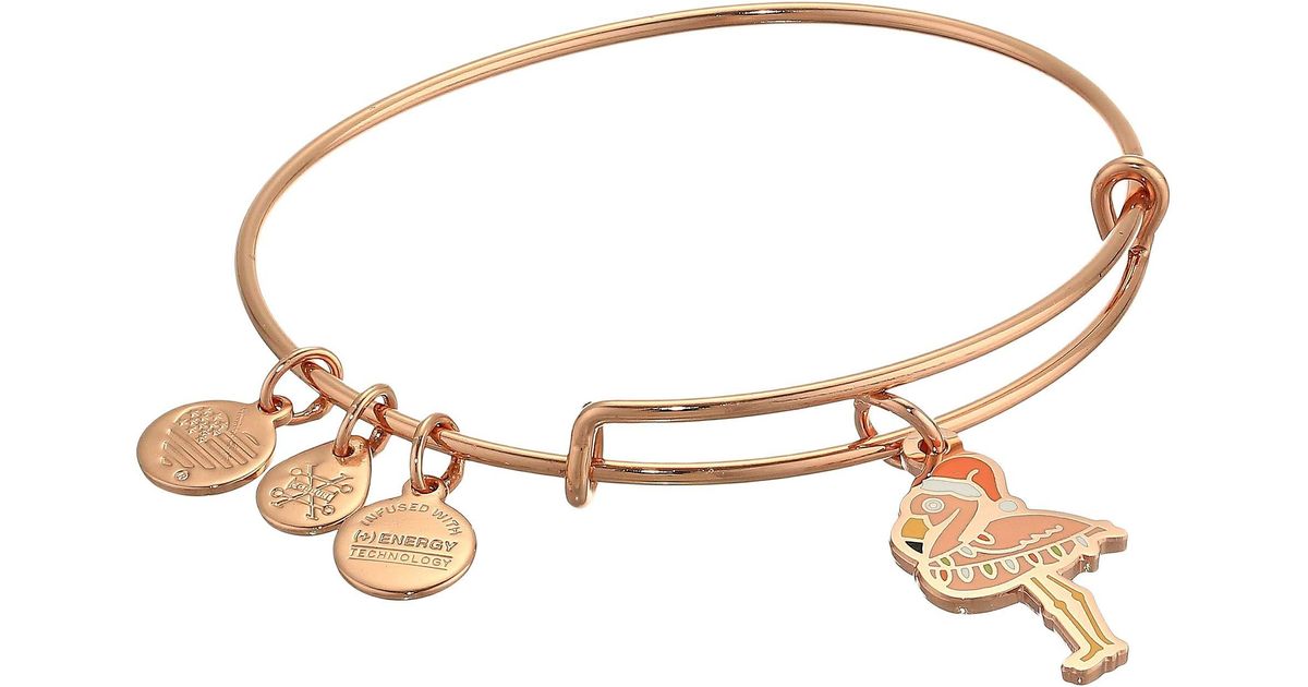 alex and ani flamingo