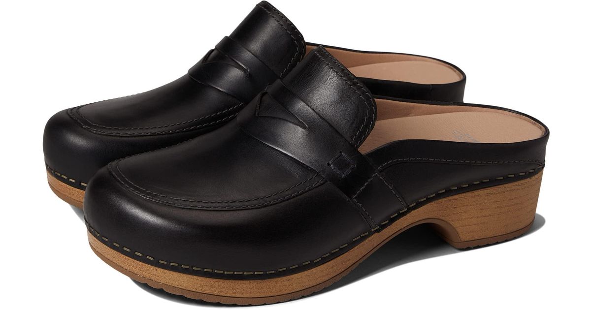 dansko bel