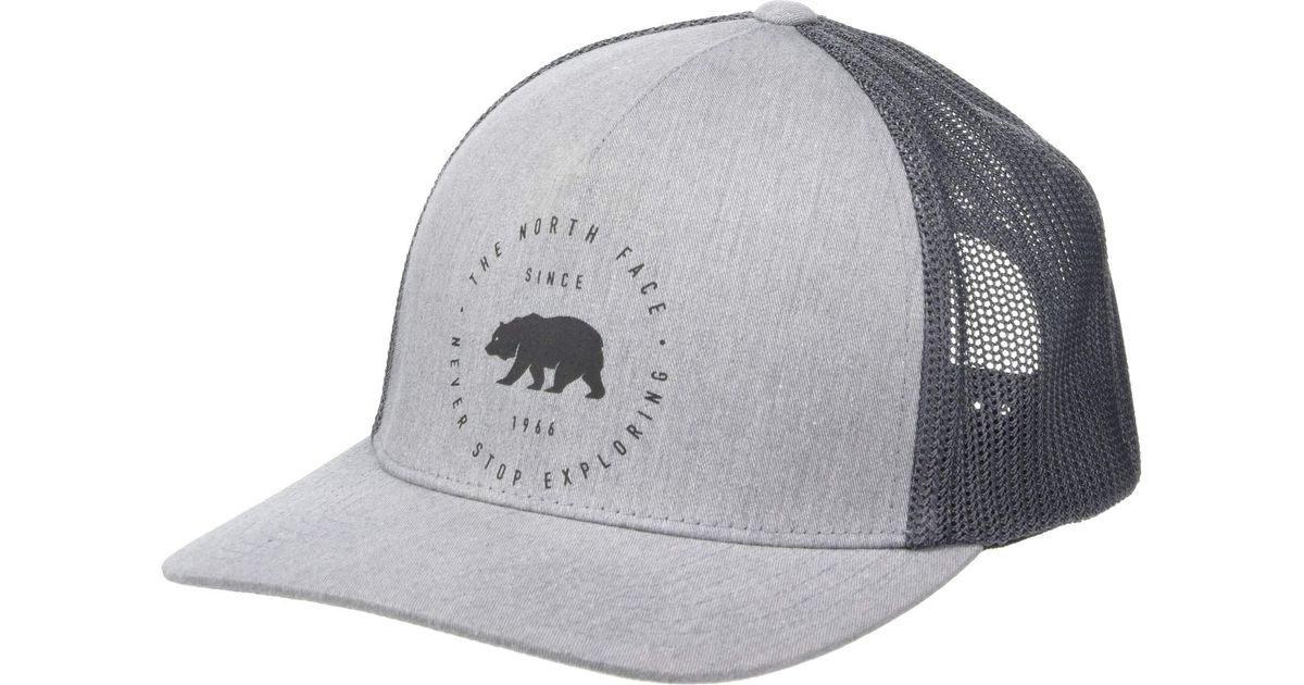 the north face bear hat