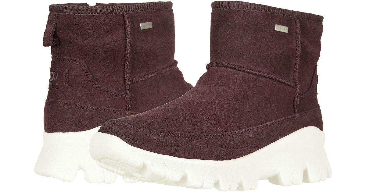 palomar boot ugg