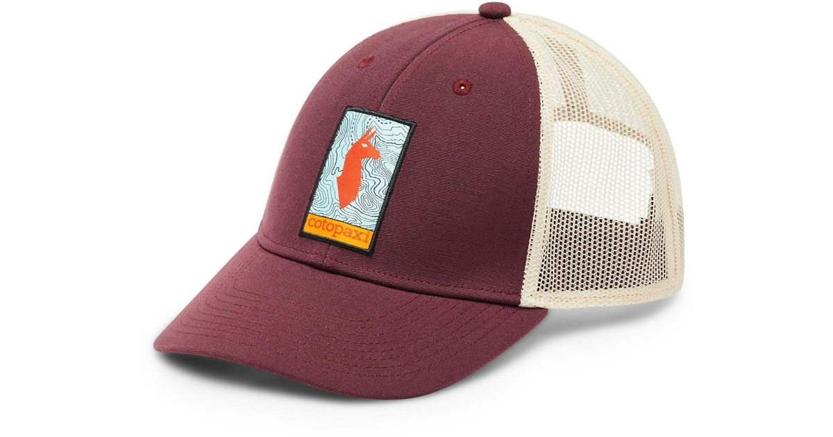 COTOPAXI Llama Map Trucker Hat in Purple | Lyst