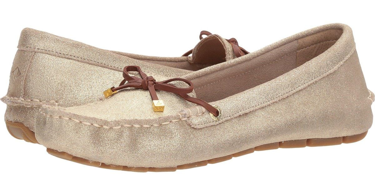 sperry katherine