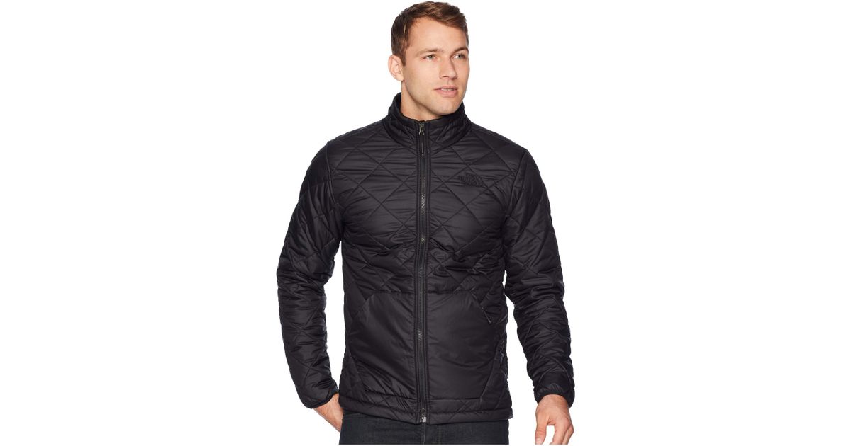 the north face men's cervas vest