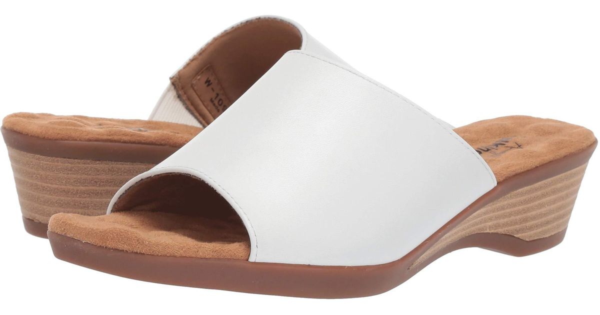 walking cradles kerry