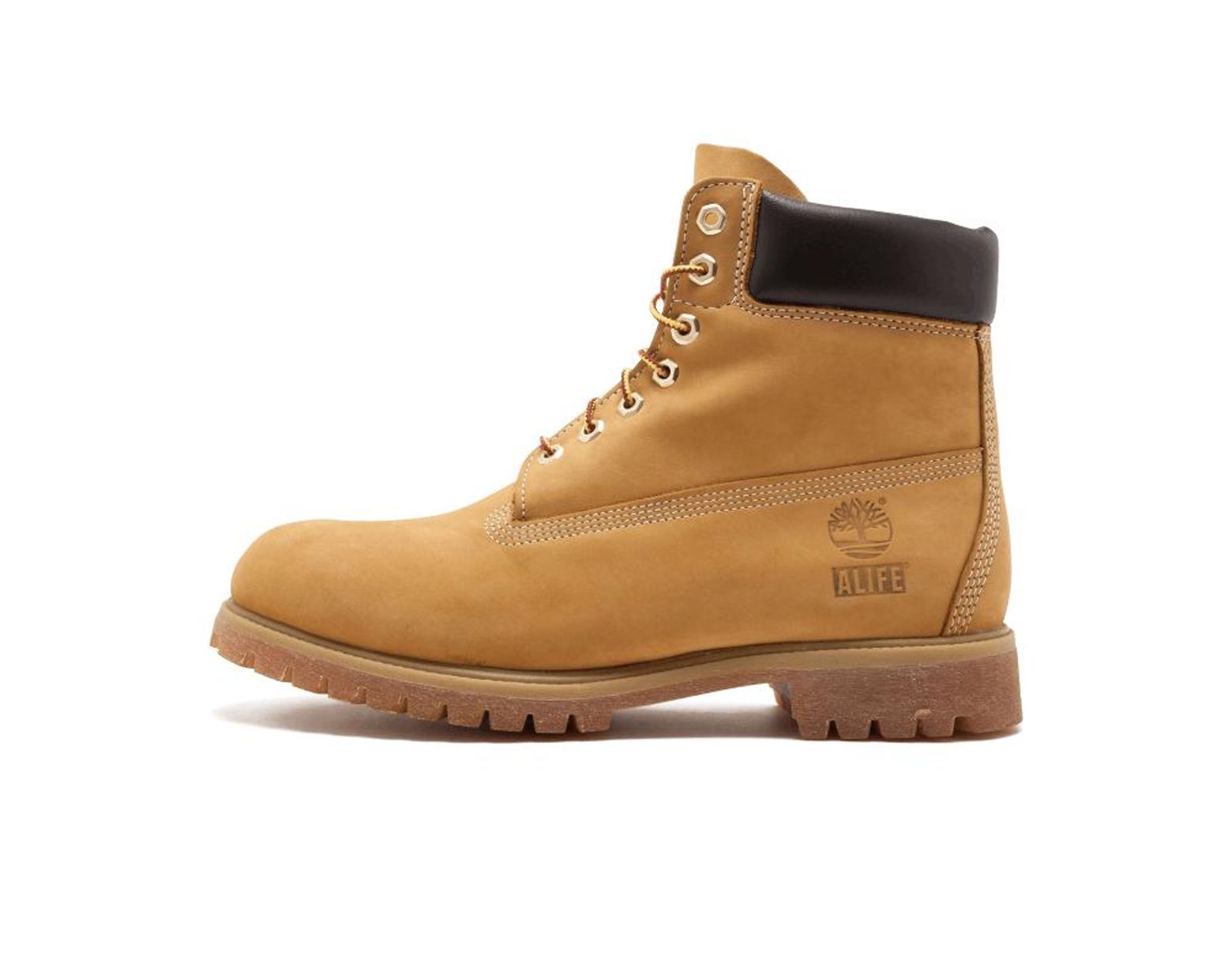 timberland 6in prem bt wp