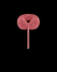 Moncler COL - Rose