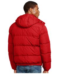 ralph lauren elmwood