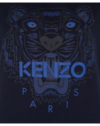 Kenzo Tiger Iphone Wallpaper 63 Remise Moshaver21 Com