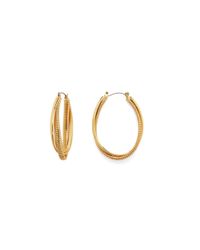 Diane von Furstenberg | Metallic Oval Twist Hoop Earrings | Lyst