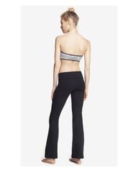 express yoga pants