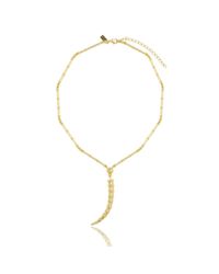 Arme De L'Amour | Metallic Linked Horn Necklace | Lyst