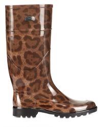 dolce and gabbana leopard print boots