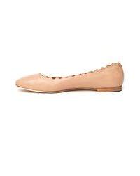 Chloé Brown Scalloped Ballet Flat
