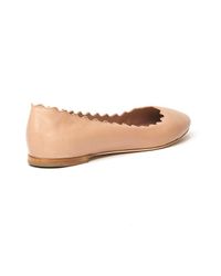Chloé Brown Scalloped Ballet Flat