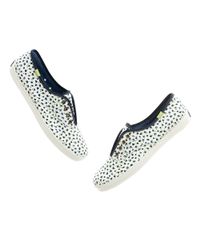 keds white floral