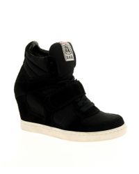 Ash cool wedge sneakers Clearance