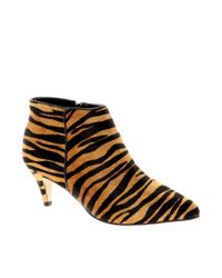 Kurt geiger tiger boots Clearance