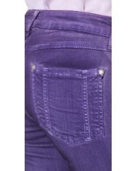 alice and olivia purple pants