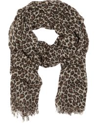 leopard cashmere scarf