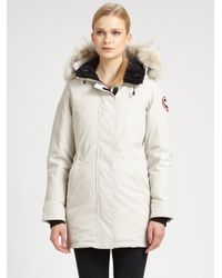 canada goose mid grey