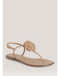 tory burch shelby