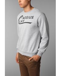 cassius clay sweater