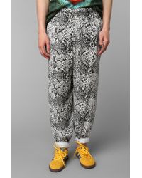 snakeskin pant