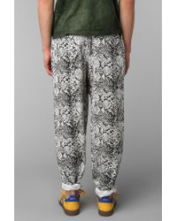 zubaz pant snakeskin outfitters urban