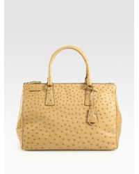 prada ostrich