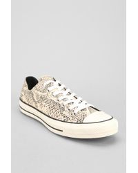 converse chuck taylor snakeskin