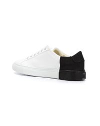 common projects canvas sneakers