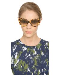 prada sunglasses havana brown
