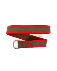 green nike belt