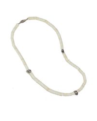 Duchess Of Malfi - White Skull Necklace With Clam Shells - Lyst