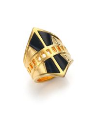 A Peace Treaty | Metallic Onona Blue Tiger's Eye Cutout Shield Ring | Lyst