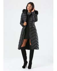 bebe coats clearance